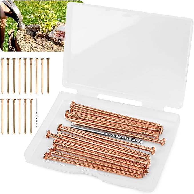 Copper nails for tree stump removal: 3.15 inches 15 pieces 25 pieces 4 inches 25 pieces full figure