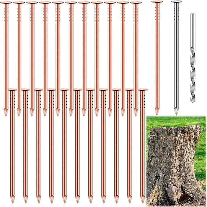 Copper nails are used to remove nails from tree stumps details Picture