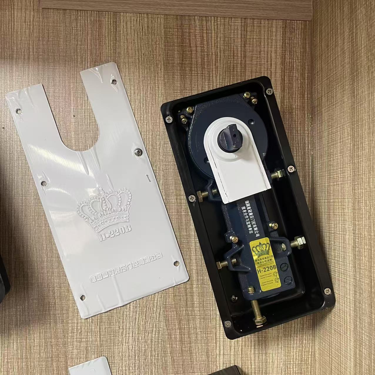 Guanli HG floor spring 100kg German Blue Label H220-B hardware for glass doors, wooden doors, frameless doors and buffer doors details Picture