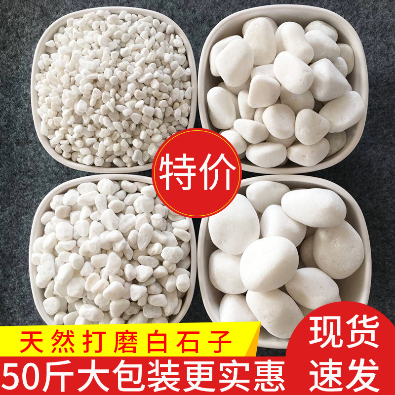 50 pounds of white pebbles, large pebbles for courtyard paving, small white pebbles for garden landscaping, and white pebbles full figure