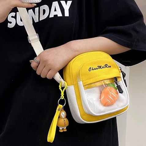 The new canvas single-shoulder bag for Spring/Summer 2025 is a Korean style, fashionable and individualistic, super popular transparent pain bag, a multi-purpose crossbody small bag details Picture