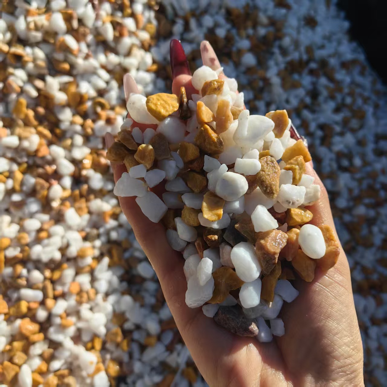 Factory wholesale of yellow pebbles, gravel, stones, washed stones, colored pebbles, terrazzo and adhesive stones. Source factory Specification drawing