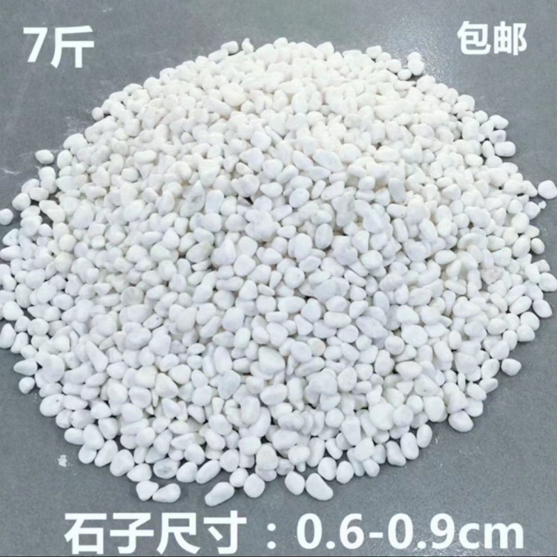Mi Jin used white small stones, 7 pebbles and sand to fill the hot trash can in the shape of a hotel ashtray, with stones to extinguish smoke, sand and small pebbles details Picture