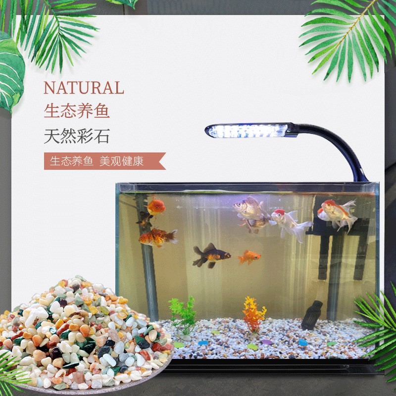 Natural rain flower stones, colored small pebbles, five-color stones, pebbles, succulent potted plants, flower cultivation, covering, fish tank, and landscape stones Specification drawing