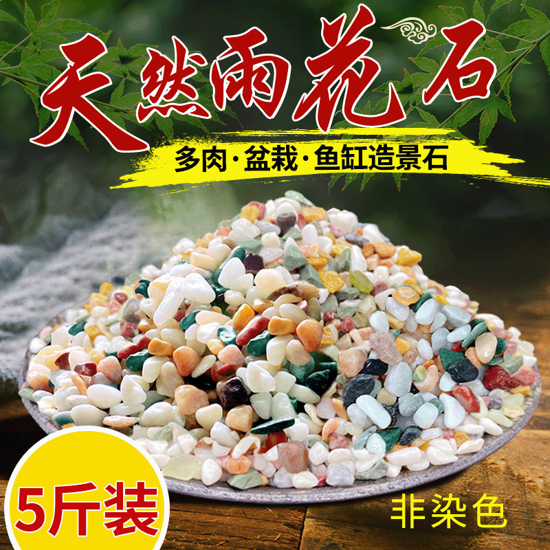 Natural rain flower stones, colored small pebbles, five-color stones, pebbles, succulent potted plants, flower cultivation, covering, fish tank, and landscape stones details Picture
