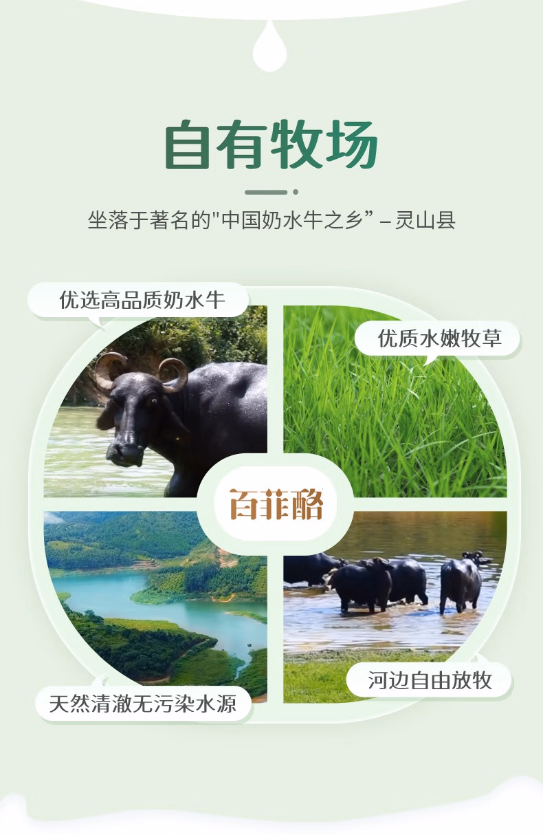 批发包邮！HUILE DE NOI休闲零食饮料 百菲酪水牛纯奶200ml*12瓶详情7