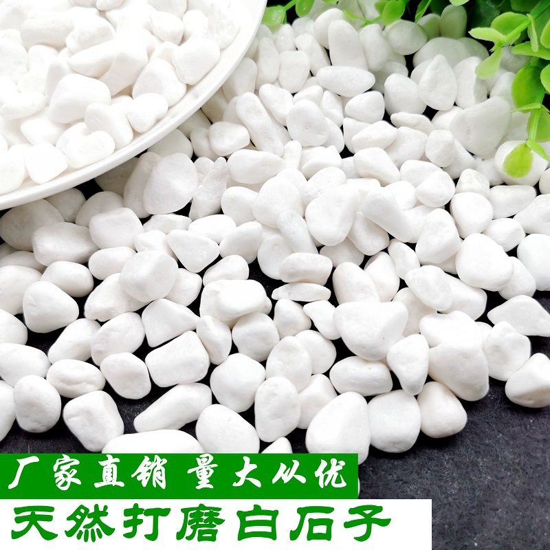 Natural white pebbles, white stones, white marble, colored stones, garden potted plants, stones, succulents, paving, courtyard landscaping full figure