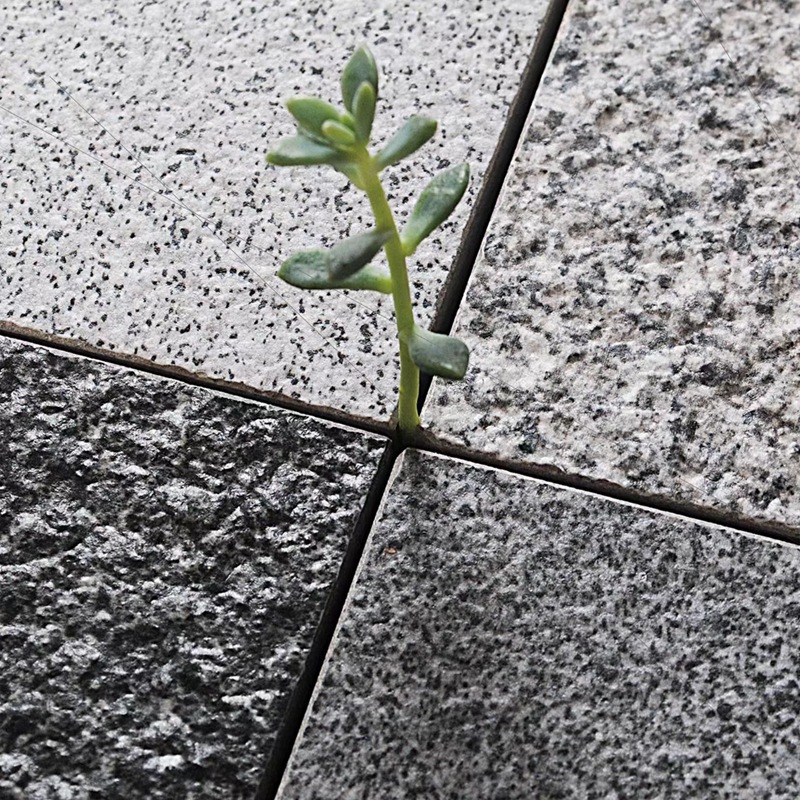 Ecological paving stone courtyard PC bricks, imitation stone garden landscape tiles, granite square bricks, 18mm villa bricks Application Scenario