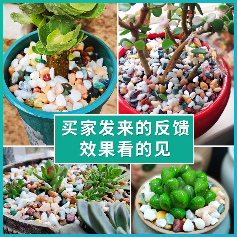 Natural colorful small stones, succulent flower potted plants, surface stones, plant decoration, fish tank landscaping, small pebbles and cobblestones Application Scenario