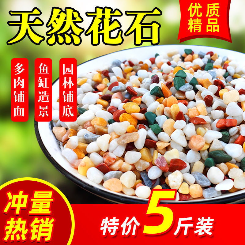 Natural colorful small stones, succulent flower potted plants, surface stones, plant decoration, fish tank landscaping, small pebbles and cobblestones full figure
