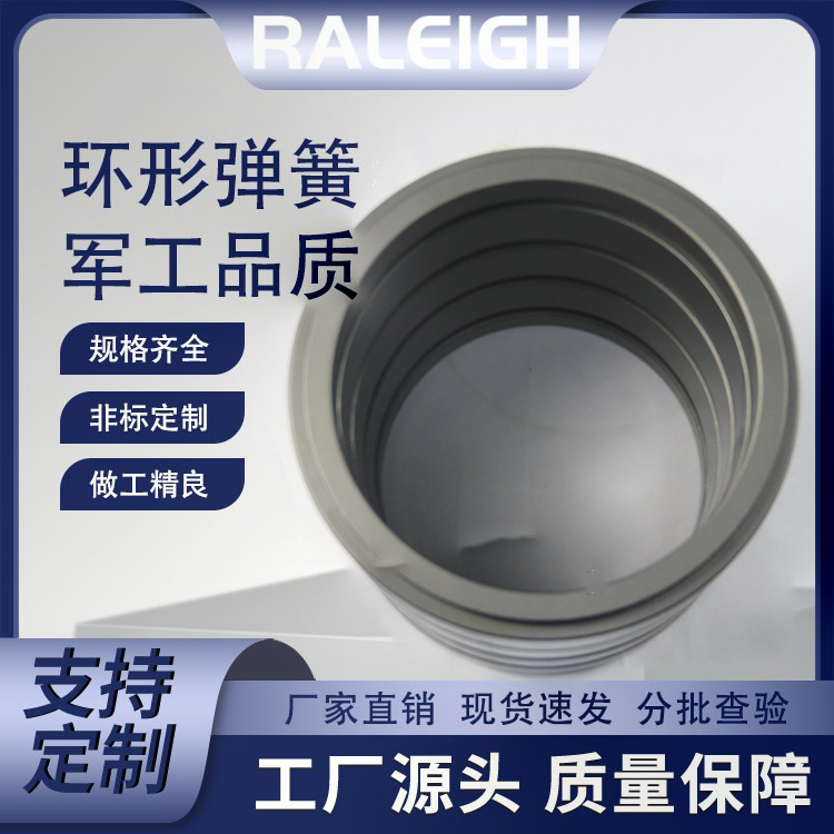 The 50CrVA60Si2Mn tower cylinder damping equipment is directly supplied by the manufacturer with high-stiffness ring spring shock absorption and vibration damping full figure