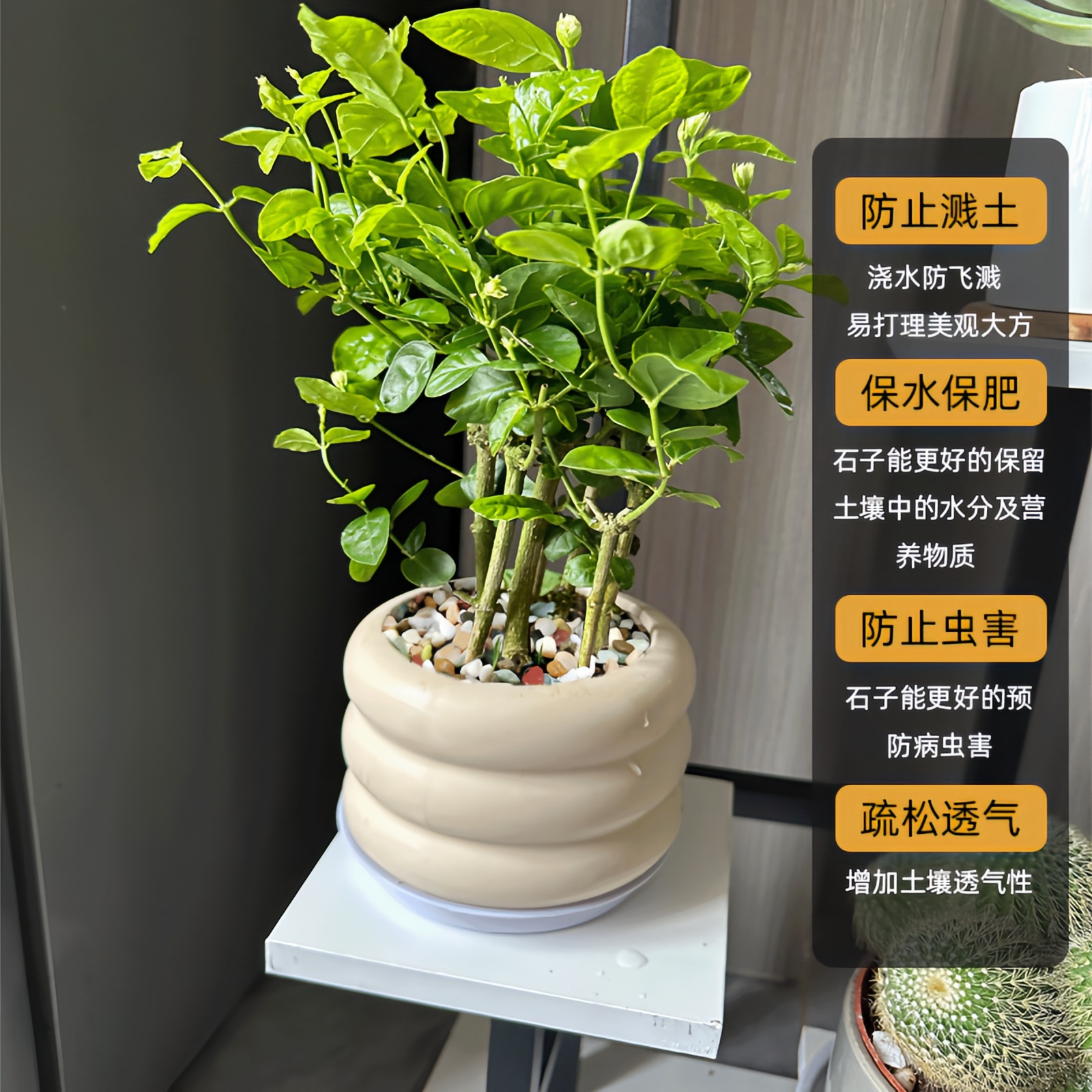 Natural colorful small stones, succulent flower potted plants, surface stones, plant decoration, fish tank landscaping, small pebbles and cobblestones details Picture