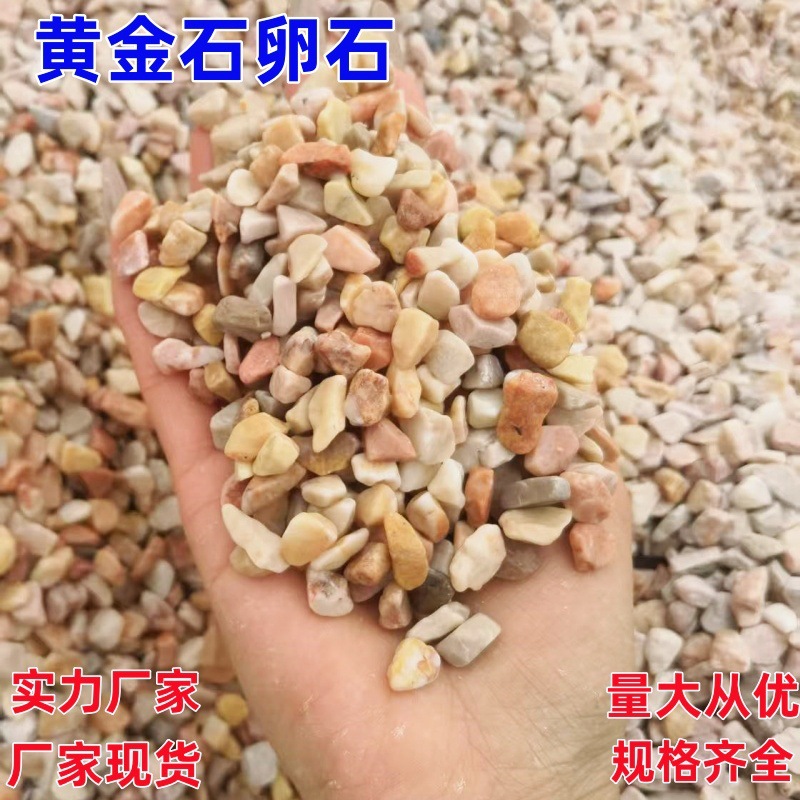 The manufacturer wholesales yellow stone, pebbles, gravel, washed stones, terrazzo, adhesive stones, colored stones and washed rice stones full figure