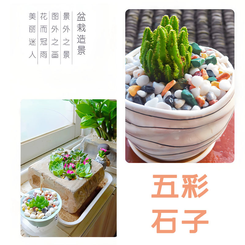 Factory direct delivery of five-color stone potted plant decoration, fish tank landscaping, colored stones, dry landscape, small pebbles, courtyard landscaping, and five-color stones Application Scenario