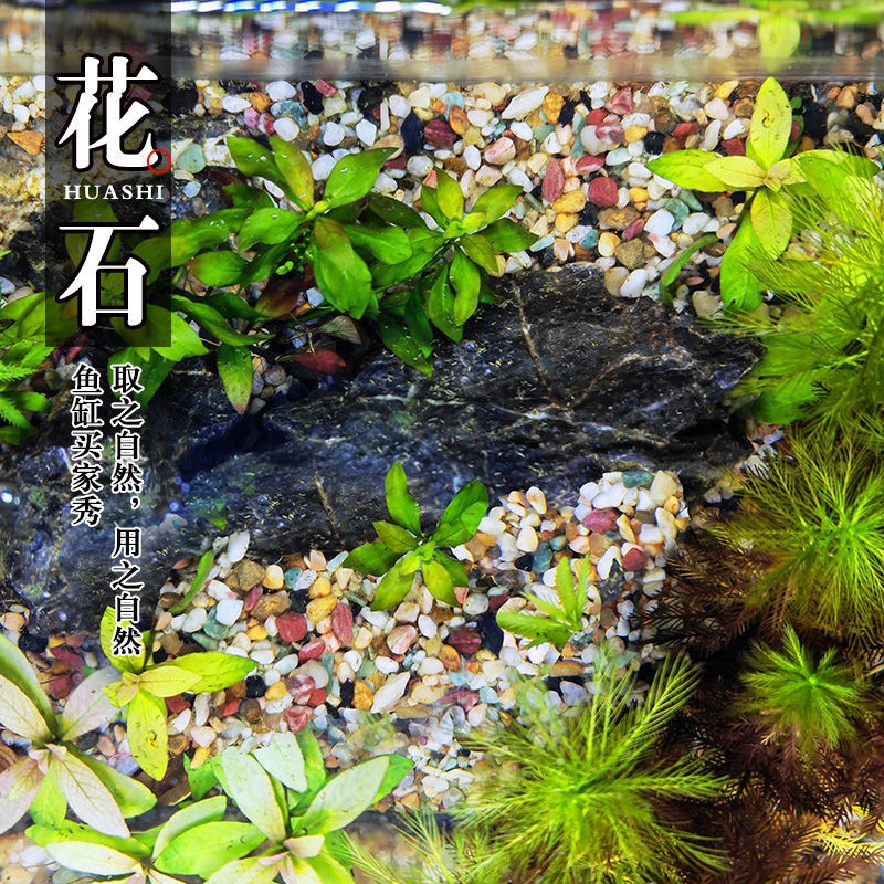 Natural colorful small stones, succulent flower potted plants, surface stones, plant decoration, fish tank landscaping, small pebbles and cobblestones Specification drawing