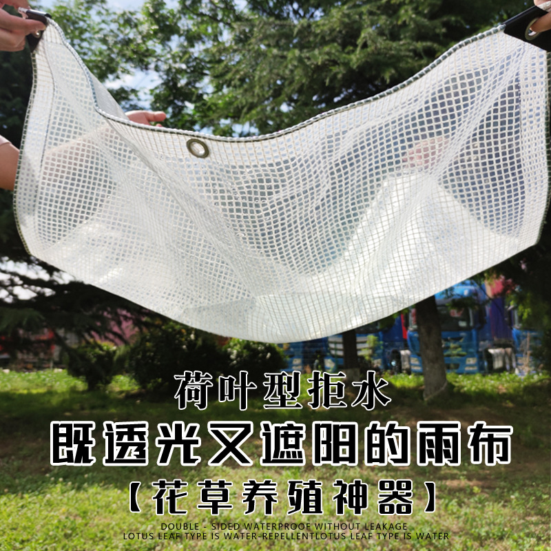 Succulent transparent rain cloth, waterproof cloth, thickened tarpaulin, rain cover cloth, tarpaulin, waterproof and sun-proof rain shed, rain cover cloth, sunshade cloth full figure