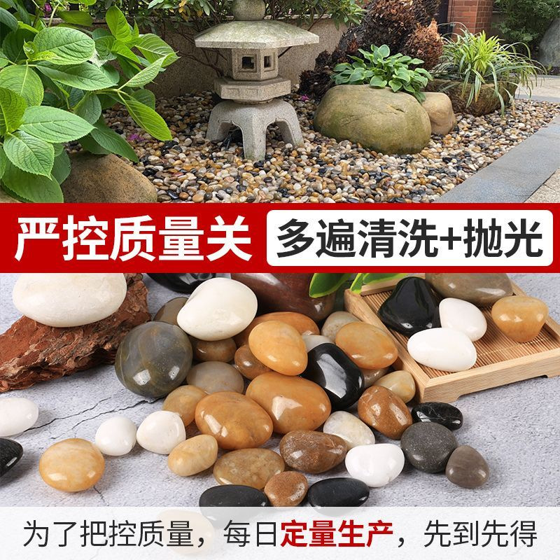 150 jin of pebbles, small stones, colorful wholesale, courtyard bedding, fish tank landscaping, rain flower stones, balcony flooring details Picture