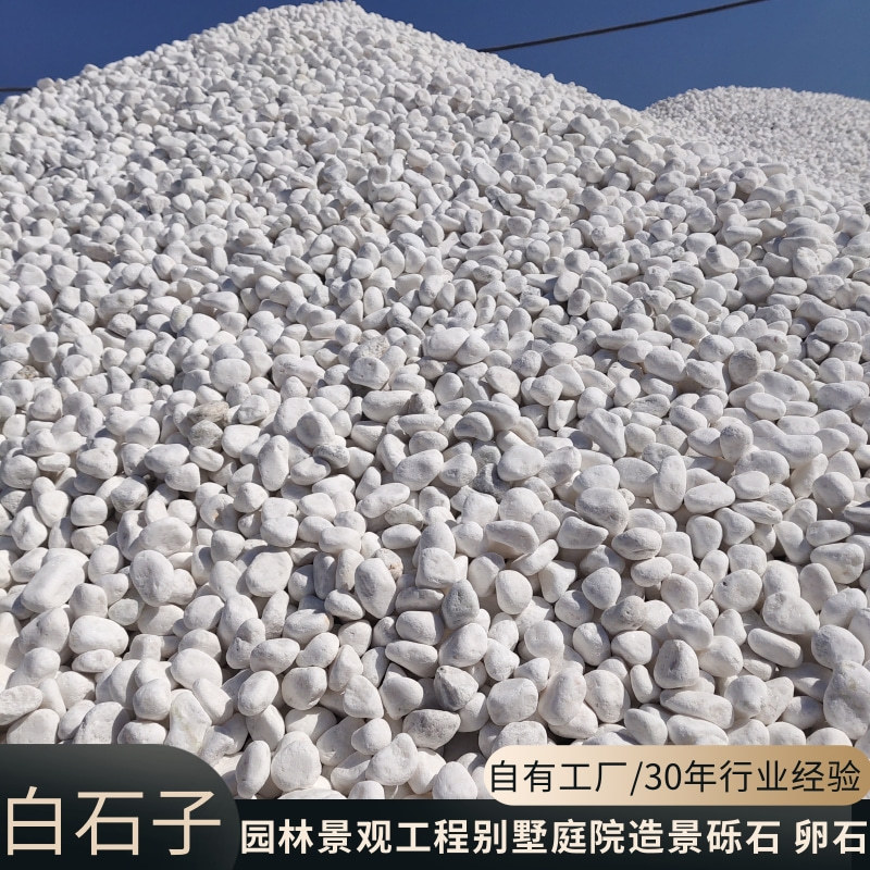 White pebbles, rice-washed stones, Japanese-style dry landscape landscape stones, garden engineering, villa courtyard landscape creation, machine-made pebbles Specification drawing