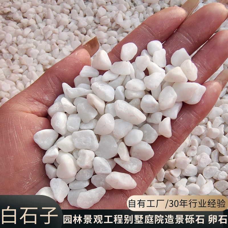 White pebbles, rice-washed stones, Japanese-style dry landscape landscape stones, garden engineering, villa courtyard landscape creation, machine-made pebbles Application Scenario