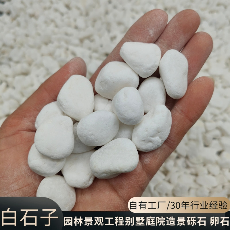 White pebbles, rice-washed stones, Japanese-style dry landscape landscape stones, garden engineering, villa courtyard landscape creation, machine-made pebbles full figure