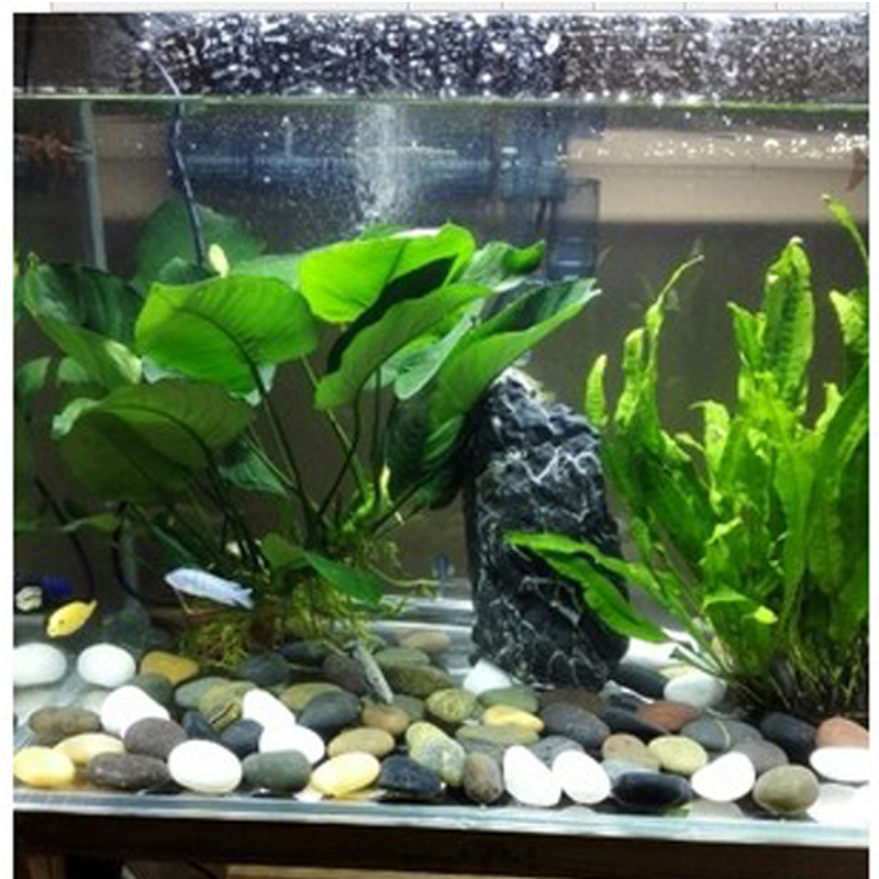 High-quality pebbles, rain flower stones, raw stones, highly polished, multicolored stones for decoration, floor covering, fish tank, garden pot covering, and courtyard stones Application Scenario