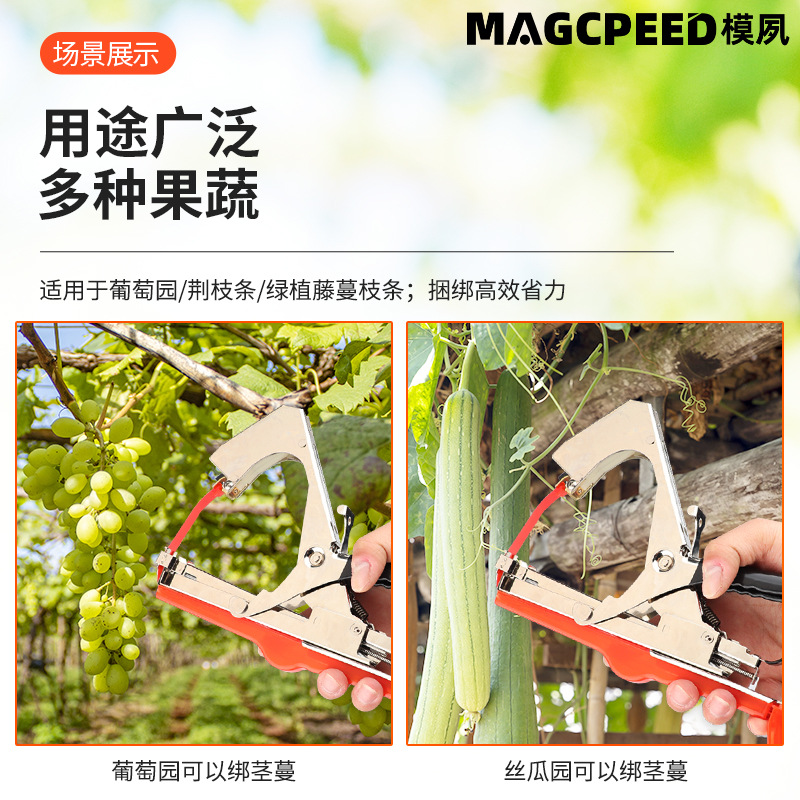 Manual binding machine for grapes, tomatoes, cucumbers, climbing vines and vines. Direct supply from the manufacturer Specification drawing