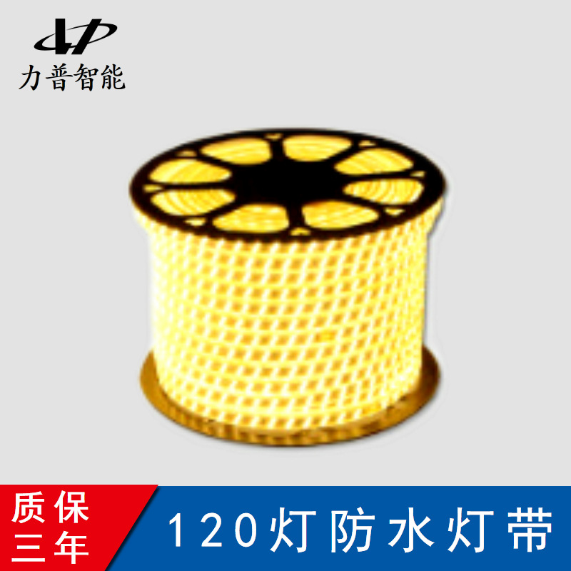 Solar photovoltaic 3.2V iron lithium battery low-voltage boost 220V single-color indoor and outdoor light strip driver controller Item Picture