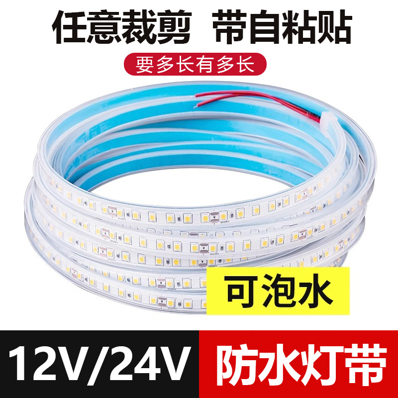 ✅ Solid potting 12V24V waterproof light strip self-adhesive led underwater soaking pool, fish tank outdoor lighting details Picture