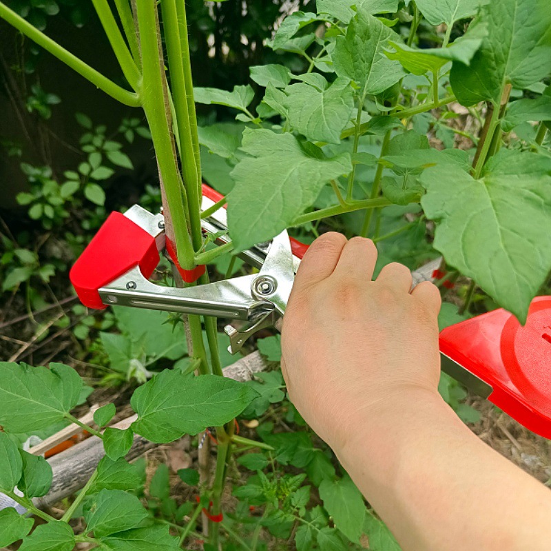 Cross-border best-selling branch binding machines, knotting machines, grape, loofah, eggplant, pepper and plant bundling machines, agricultural tools details Picture