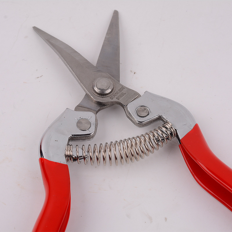 Wholesale of fruit tree and horticultural pruning, flower pruning, vegetable and fruit pruning, fruit picking scissors, citrus pruning and picking tools Application Scenario