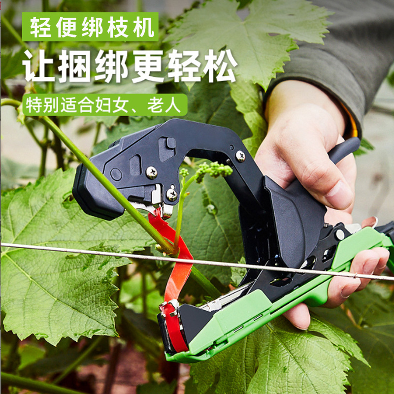 New type of branch binding machine, grape vine binding machine, tomato vine binding machine, branch binding magic tool, cucumber branch binding machine, nail binding strap binding machine Application Scenario