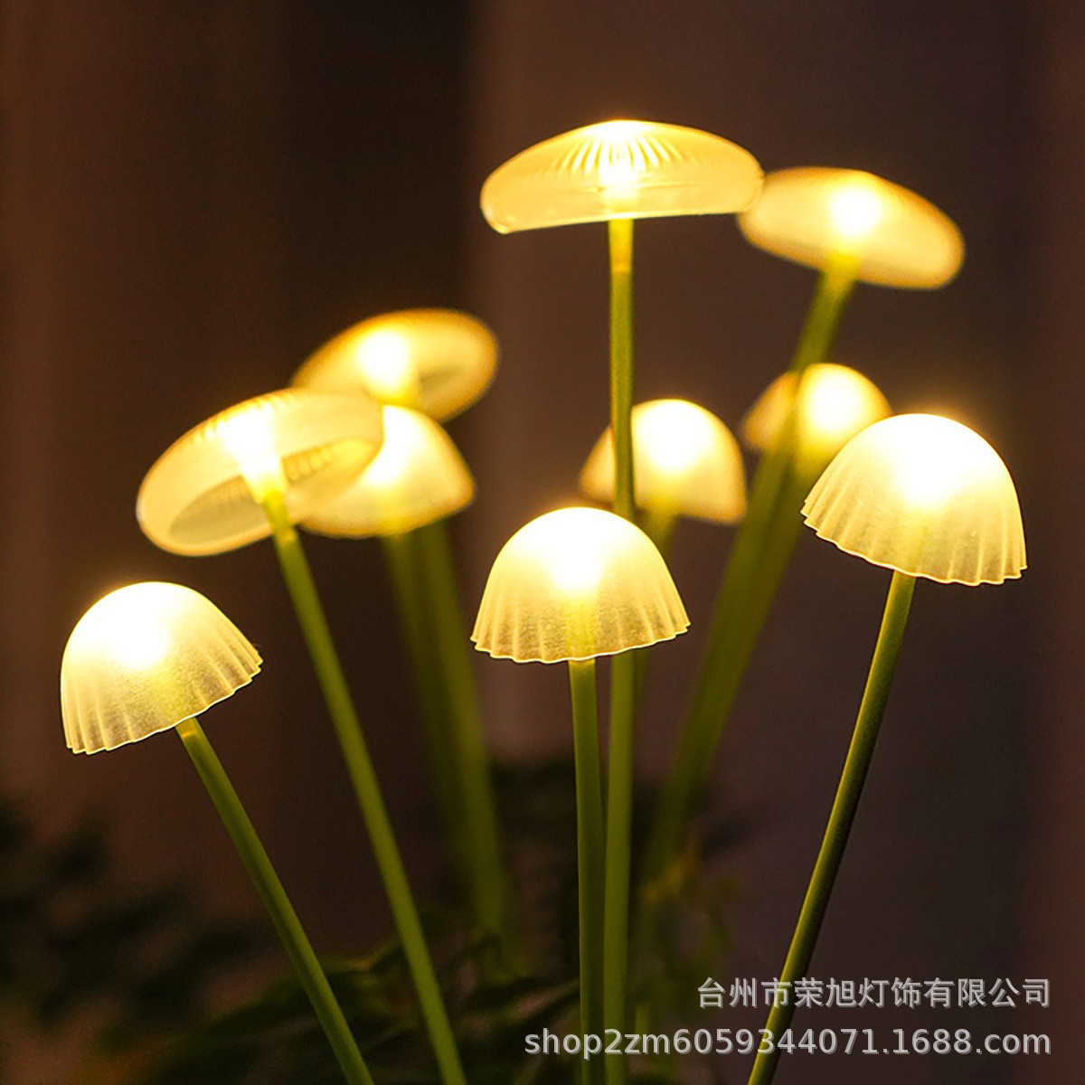 Cross-border LED solar jellyfish lamp, silicone mushroom ground insert lamp, outdoor garden and courtyard atmosphere decoration lawn lamp details Picture