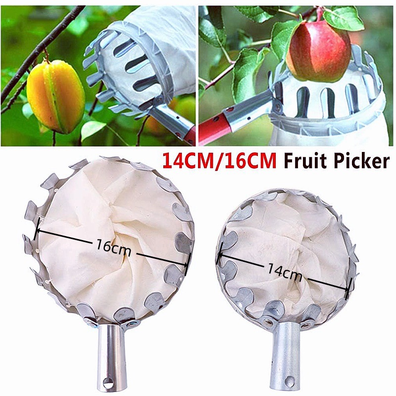Fruit picking magic tool, adjustable fruit picker, garden tool, apple and plum picking, high-altitude fruit picker, fruit picking device Application Scenario
