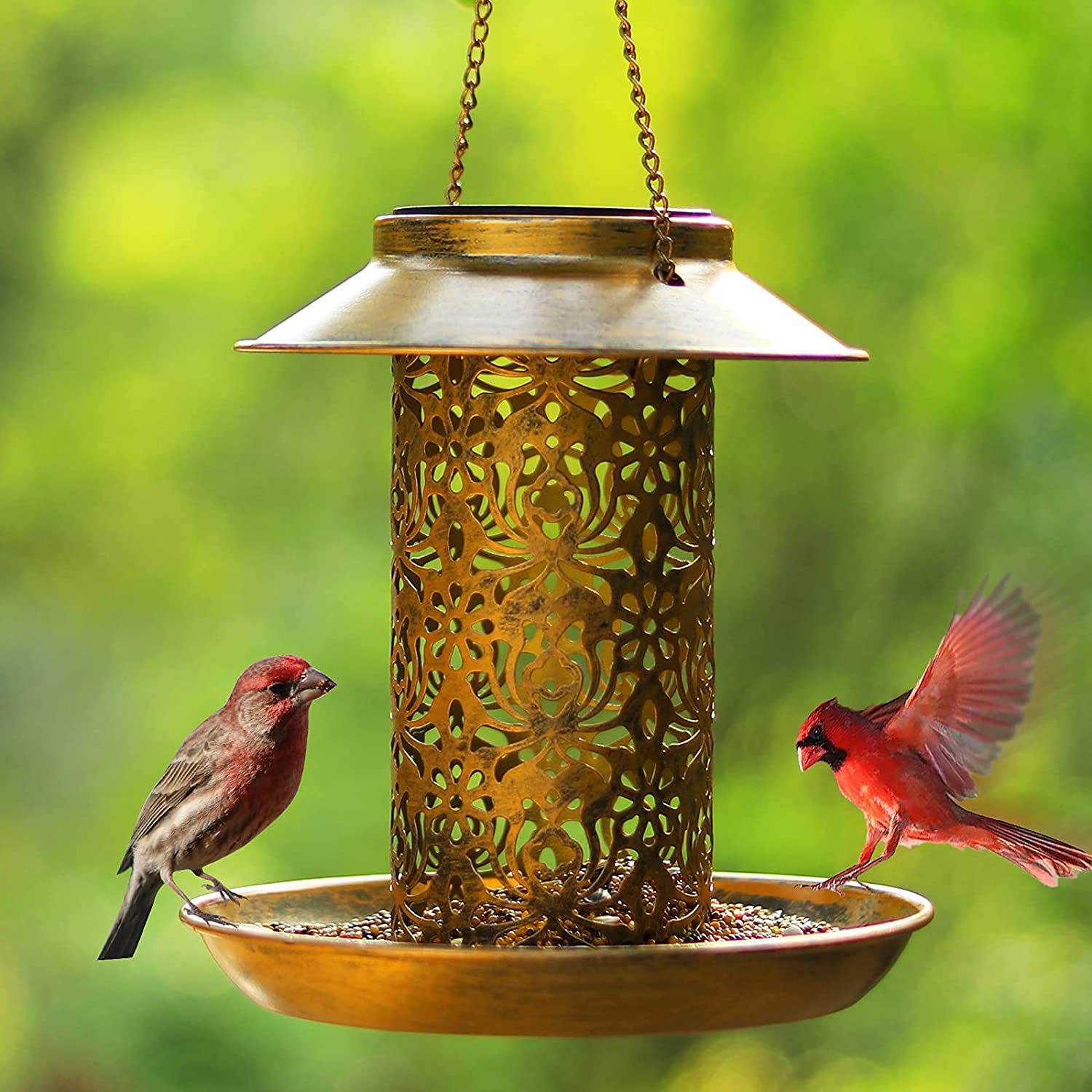 Outdoor solar lamp, metal hanging bird feeder, dual-purpose bird feeder for feeding and watering, courtyard lawn decorative lamp Specification drawing