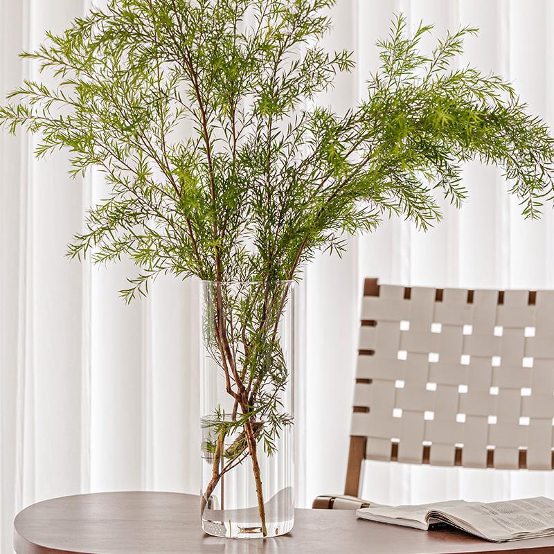 High borosilicate glass hydroponic plant bottle, indoor desktop small flowerpot, moss ecological bottle, straight tube flower arrangement vase details Picture