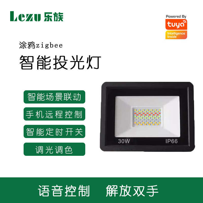 Graffiti zigbee direct connection led floodlight, outdoor waterproof, outdoor lighting searchlight, courtyard smart street lamp full figure