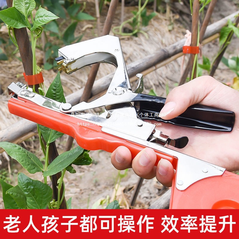 Grape branch binding machine, branch binding tool, vine binding machine, new type of branch binding machine, tomato yellow melon fruit, tomato fruit tree branch binding gun Application Scenario