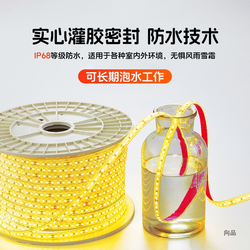 Solid adhesive 12V24V waterproof light strip, self-adhesive led, special light strip for underwater soaking pools, fish tanks and outdoor lighting details Picture