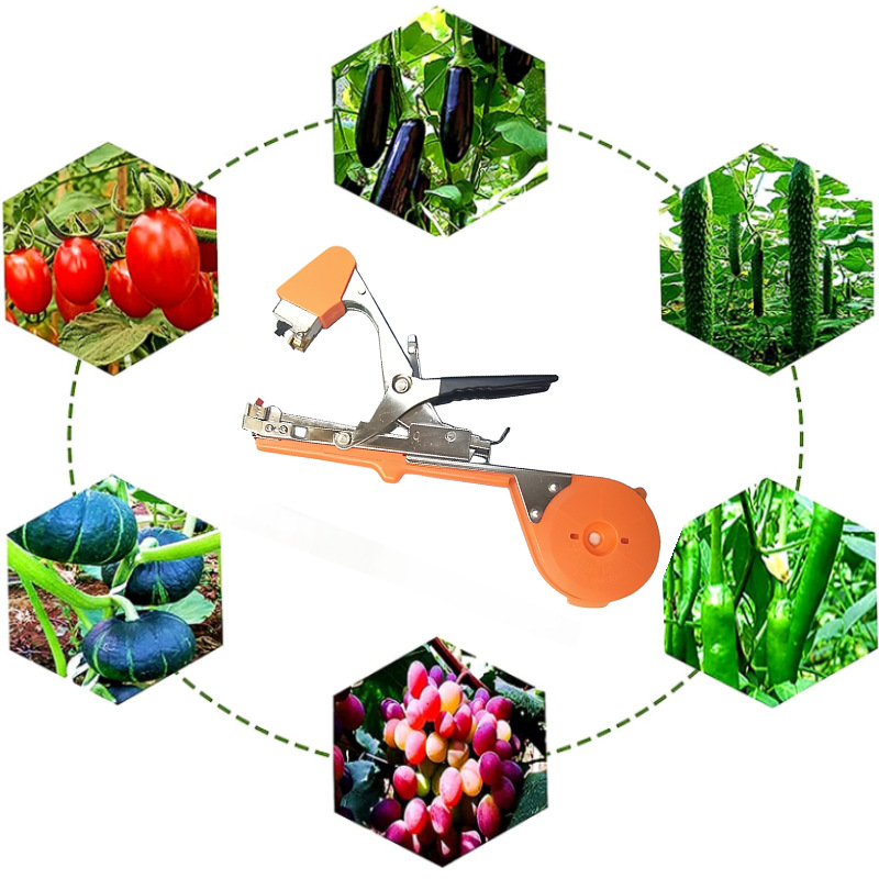 Cross-border best-selling horticultural branch binding machine, plant binding and knotting machine for eggplants, cucumbers, loofahs, peppers, tomatoes, etc. Agricultural labor Application Scenario