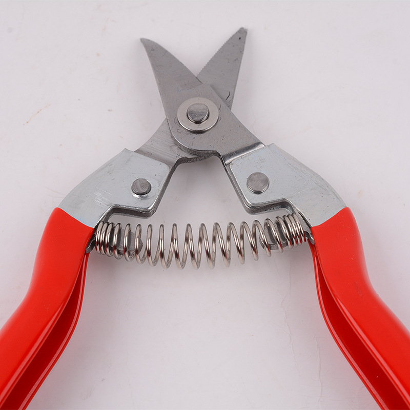 Pruning electric scissors, fruit picking magic tool, multi-functional garden fruit picking, flower art pruning scissors, branch picking electric Specification drawing