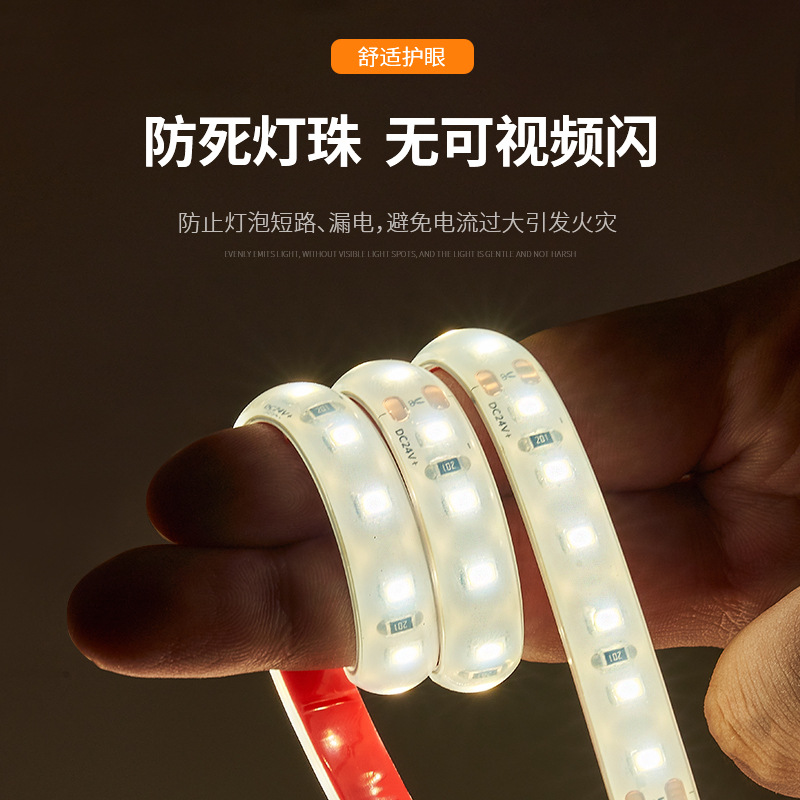 Low-voltage waterproof light strip, 24V outdoor, IP68, submerged in water, white and blue light without flicker, LED, special light strip for fish pond bottom details Picture
