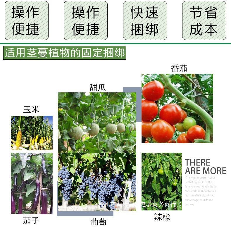 Tomato vine binding gun, cucumber vine binding magic tool, grape and passion fruit vine binding tool, new type of tomato vine binding tool details Picture