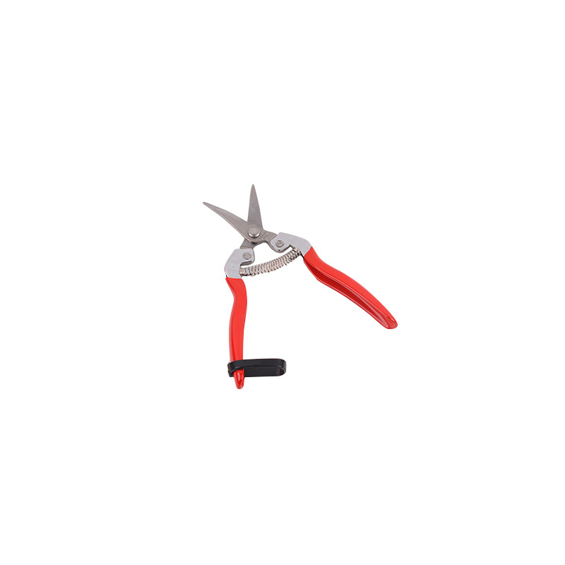 Wholesale of fruit tree and horticultural pruning, flower pruning, vegetable and fruit pruning, fruit picking scissors, citrus pruning and picking tools Item Picture