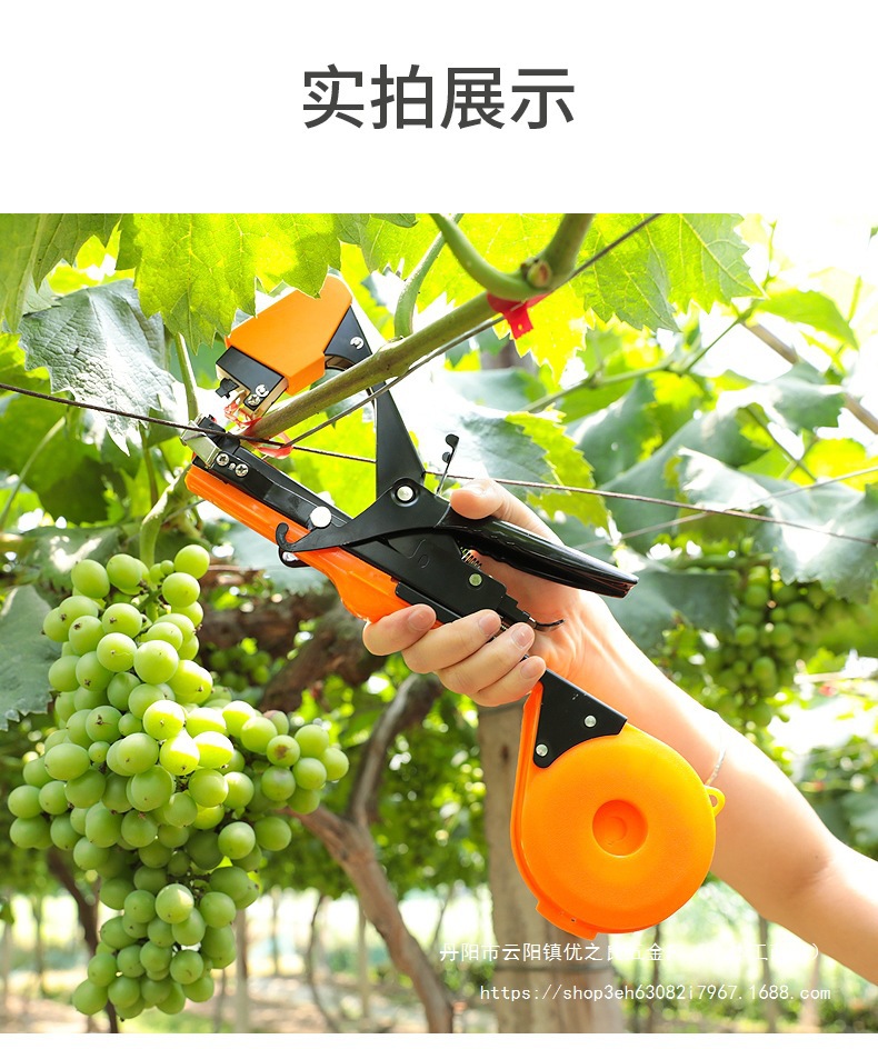 The branch binding machine is an agricultural tomato vine binding tool. It is a powerful tool for binding grapes and cucumbers, using tape and nails to bind branches and build up plants Item Picture