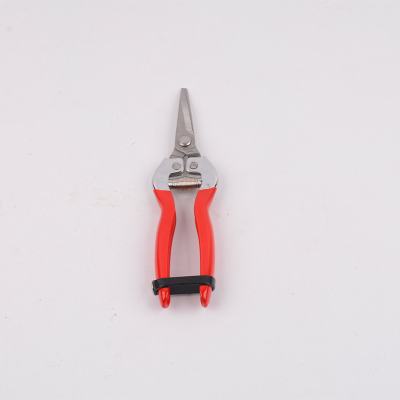 Wholesale of fruit tree and horticultural pruning, flower pruning, vegetable and fruit pruning, fruit picking scissors, citrus pruning and picking tools details Picture