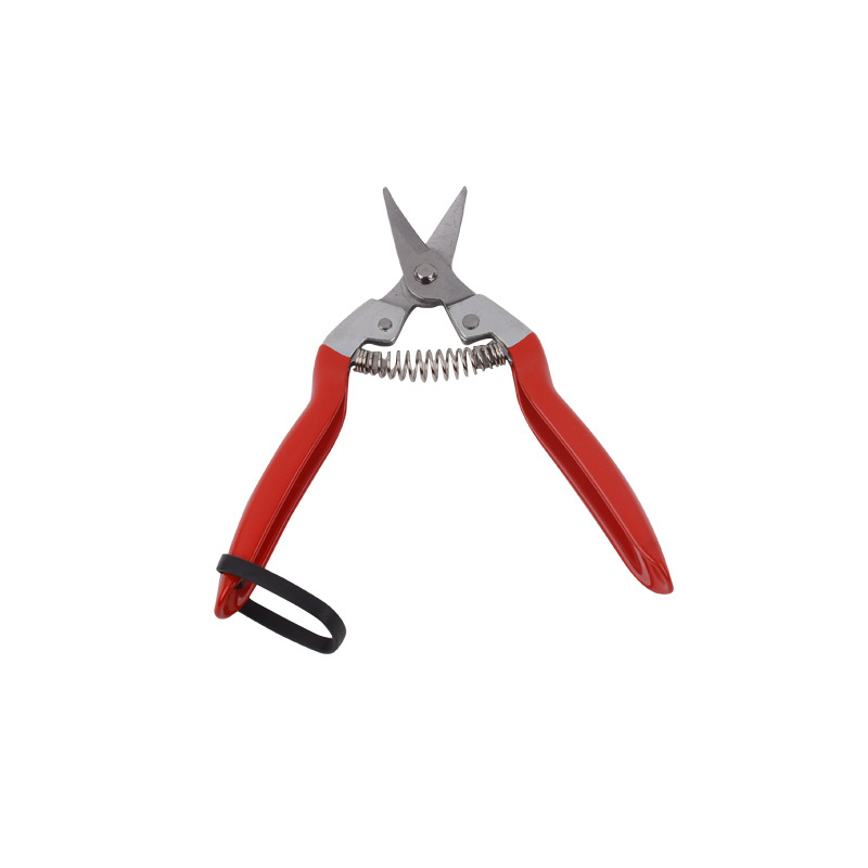 Pruning electric scissors, fruit picking magic tool, multi-functional garden fruit picking, flower art pruning scissors, branch picking electric Item Picture