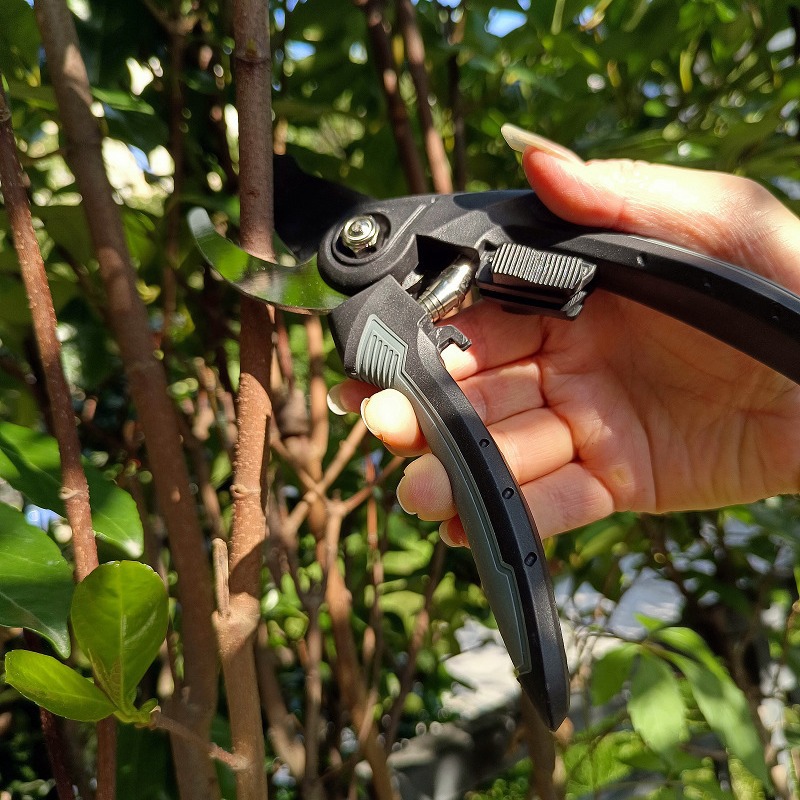 SK-5 alloy steel head garden potted plant pruning, flower pruning, fruit picking, branch pruning, garden tools details Picture