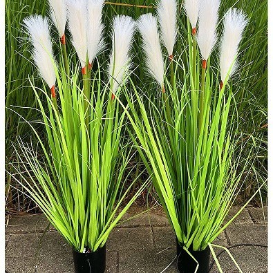 led simulation optical fiber five-head reed lamp, outdoor solar garden plant lamp, garden decorative lamp, landscape lamp Application Scenario