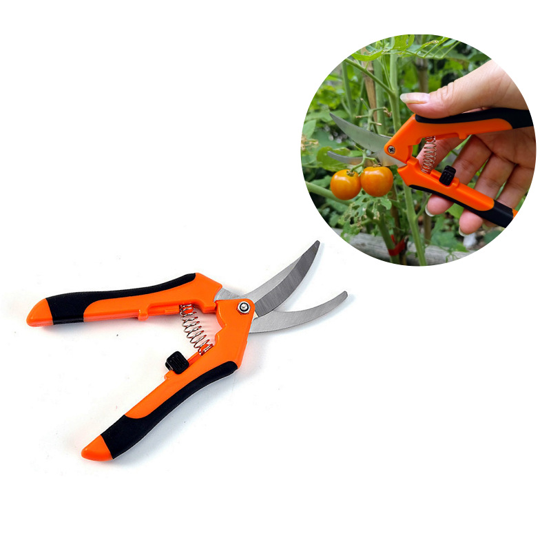 Cross-border horticultural pruning shears, potted plant nursery flower pruning, fruit and vegetable picking shears, fruit picking shears, thinning fruit shears, garden tools Application Scenario