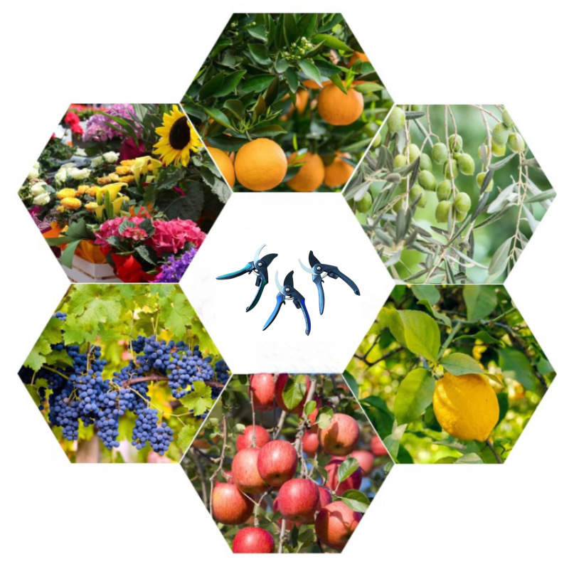 SK-5 alloy steel head garden potted plant pruning, flower pruning, fruit picking, branch pruning, garden tools Item Picture